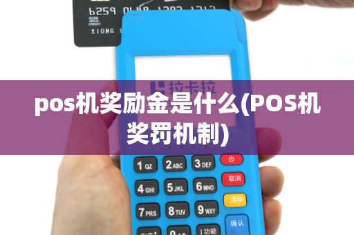 pos机奖励金是什么(POS机奖罚机制)