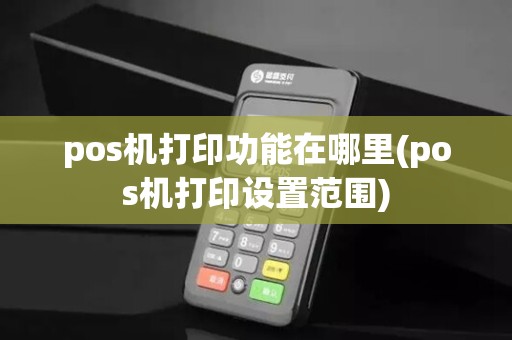 pos机打印功能在哪里(pos机打印设置范围)