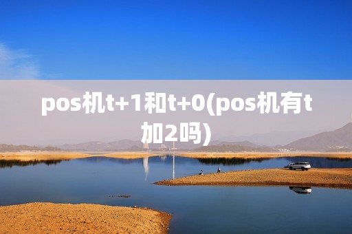 pos机t+1和t+0(pos机有t加2吗)
