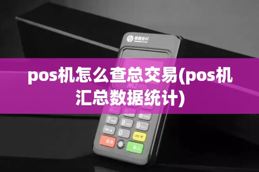 pos机怎么查总交易(pos机汇总数据统计)