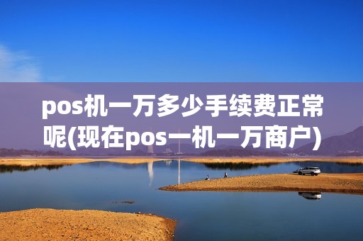 pos机一万多少手续费正常呢(现在pos一机一万商户)