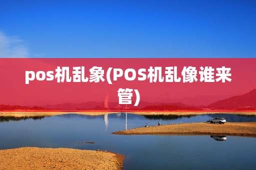 pos机乱象(POS机乱像谁来管)