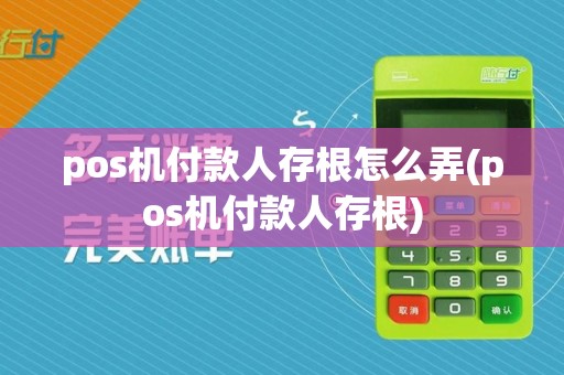 pos机付款人存根怎么弄(pos机付款人存根)
