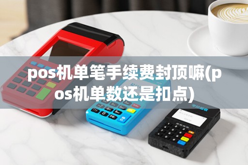 pos机单笔手续费封顶嘛(pos机单数还是扣点)
