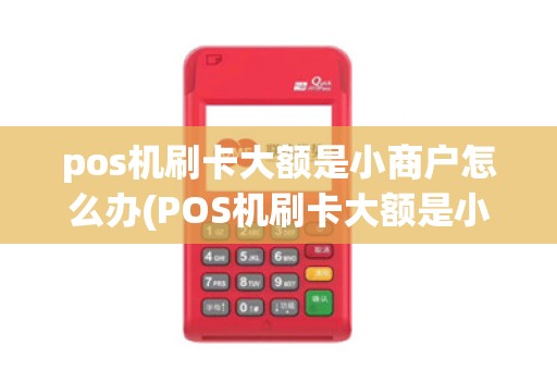 pos机刷卡大额是小商户怎么办(POS机刷卡大额是小商户)