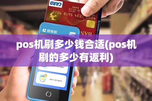 pos机刷多少钱合适(pos机刷的多少有返利)