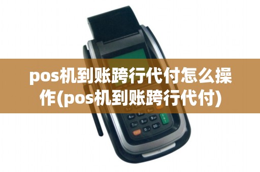 pos机到账跨行代付怎么操作(pos机到账跨行代付)