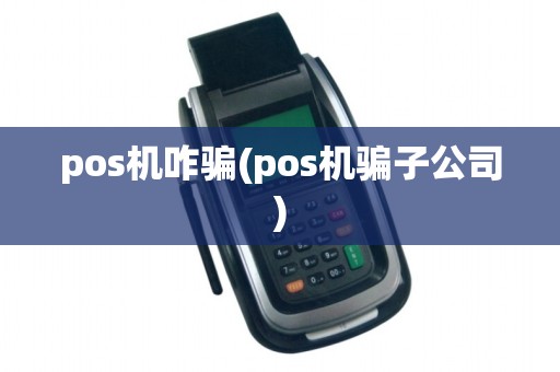 pos机咋骗(pos机骗子公司)