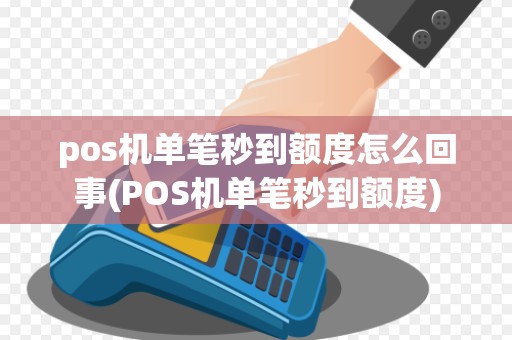 pos机单笔秒到额度怎么回事(POS机单笔秒到额度)