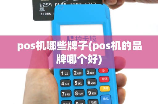 pos机哪些牌子(pos机的品牌哪个好)