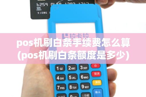 pos机刷白条手续费怎么算(pos机刷白条额度是多少)