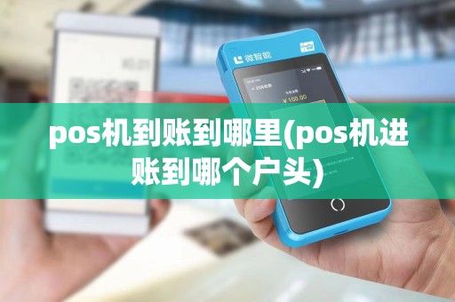 pos机到账到哪里(pos机进账到哪个户头)