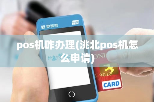 pos机咋办理(洮北pos机怎么申请)