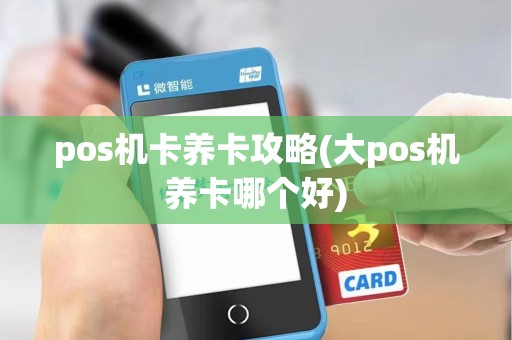 pos机卡养卡攻略(大pos机养卡哪个好)