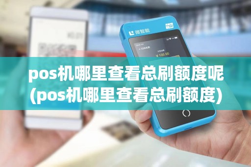 pos机哪里查看总刷额度呢(pos机哪里查看总刷额度)