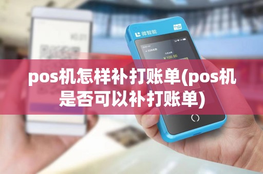 pos机怎样补打账单(pos机是否可以补打账单)