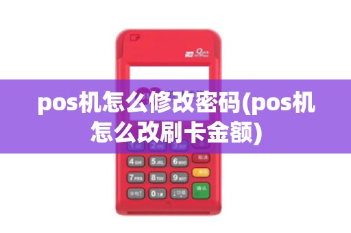 pos机怎么修改密码(pos机怎么改刷卡金额)