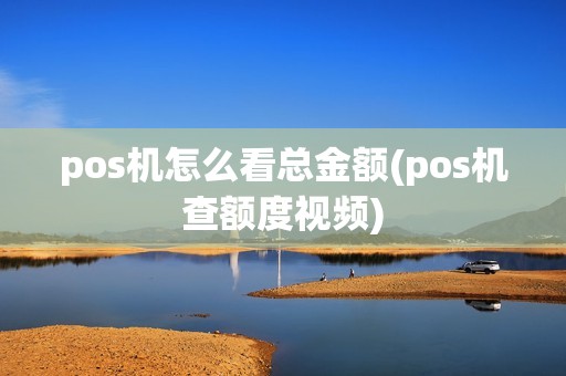 pos机怎么看总金额(pos机查额度视频)