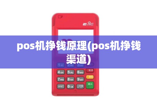 pos机挣钱原理(pos机挣钱渠道)