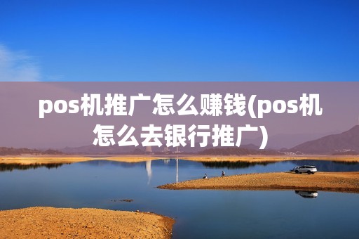 pos机推广怎么赚钱(pos机怎么去银行推广)