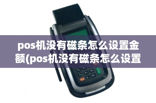 pos机没有磁条怎么设置金额(pos机没有磁条怎么设置)