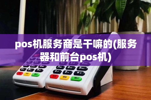 pos机服务商是干嘛的(服务器和前台pos机)