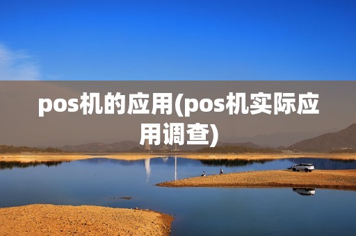 pos机的应用(pos机实际应用调查)