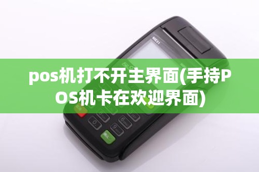 pos机打不开主界面(手持POS机卡在欢迎界面)
