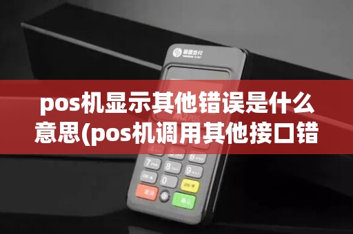 pos机显示其他错误是什么意思(pos机调用其他接口错误336)