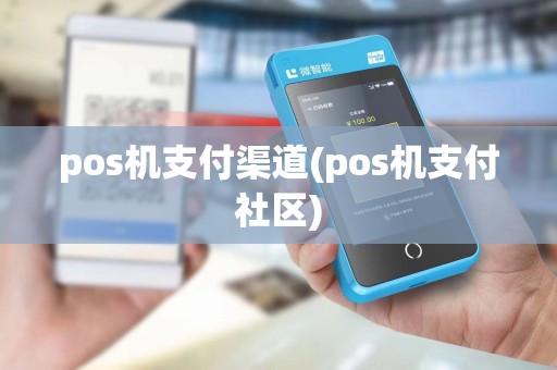 pos机支付渠道(pos机支付社区)