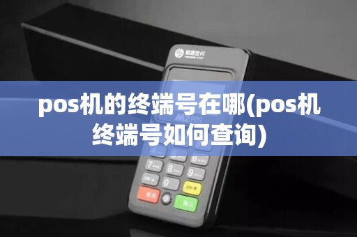 pos机的终端号在哪(pos机终端号如何查询)