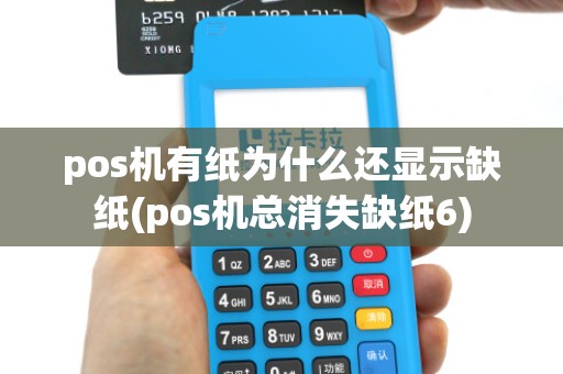 pos机有纸为什么还显示缺纸(pos机总消失缺纸6)