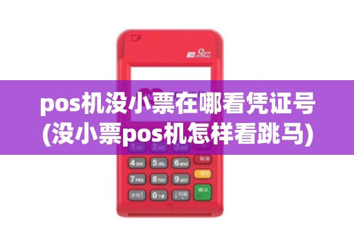 pos机没小票在哪看凭证号(没小票pos机怎样看跳马)
