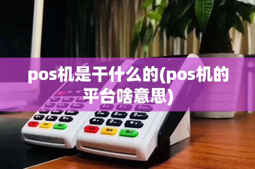 pos机是干什么的(pos机的平台啥意思)