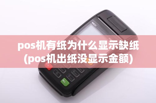 pos机有纸为什么显示缺纸(pos机出纸没显示金额)