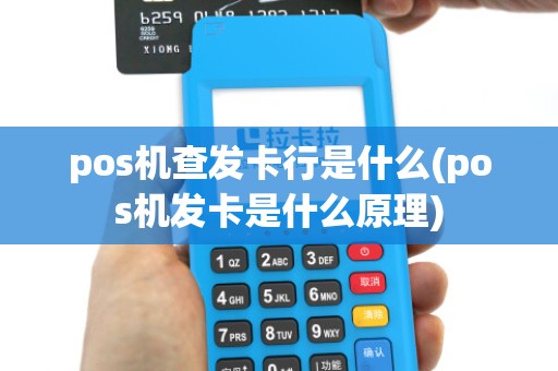 pos机查发卡行是什么(pos机发卡是什么原理)