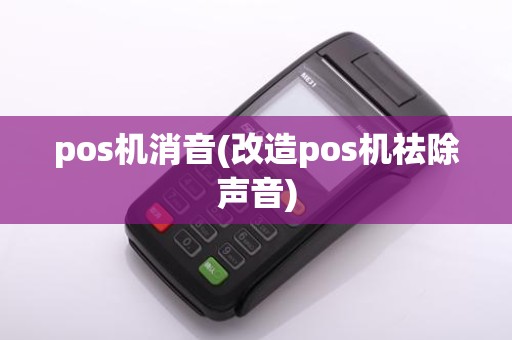 pos机消音(改造pos机祛除声音)