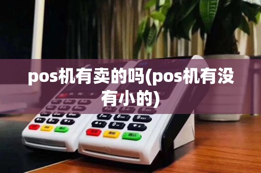 pos机有卖的吗(pos机有没有小的)
