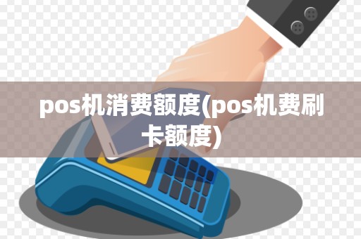 pos机消费额度(pos机费刷卡额度)