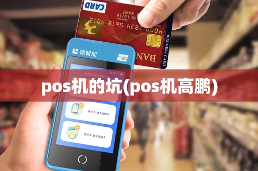 pos机的坑(pos机高鹏)