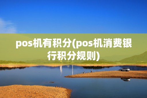 pos机有积分(pos机消费银行积分规则)