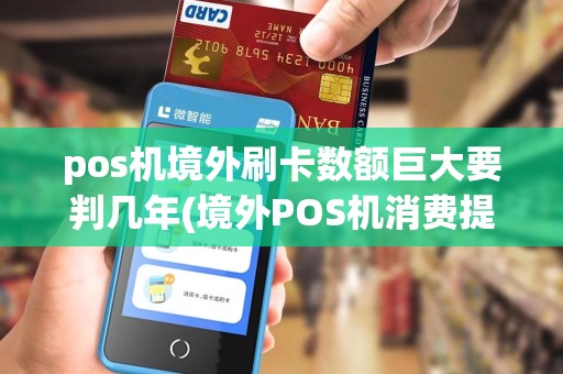pos机境外刷卡数额巨大要判几年(境外POS机消费提额)