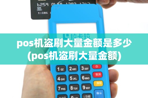 pos机盗刷大量金额是多少(pos机盗刷大量金额)