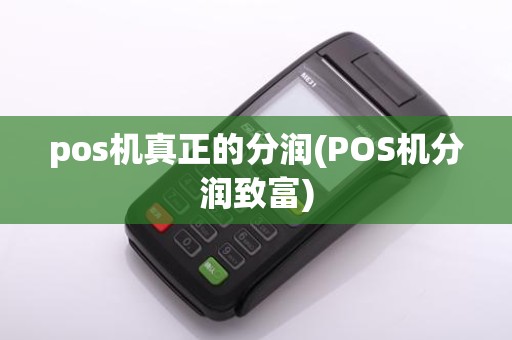 pos机真正的分润(POS机分润致富)
