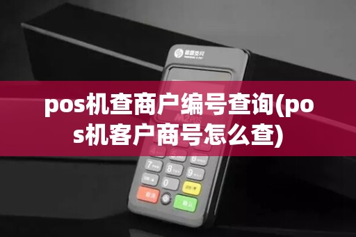 pos机查商户编号查询(pos机客户商号怎么查)
