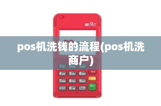 pos机洗钱的流程(pos机洗商户)