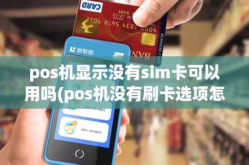 pos机显示没有sim卡可以用吗(pos机没有刷卡选项怎么回事)