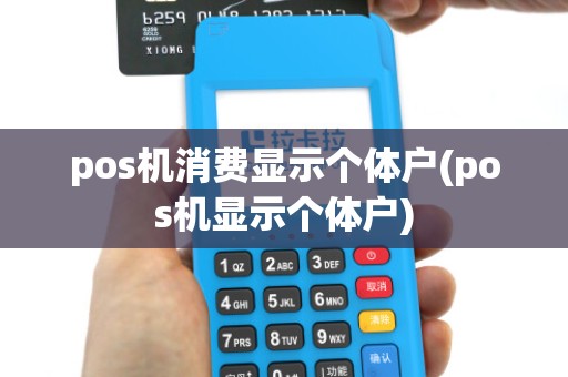 pos机消费显示个体户(pos机显示个体户)