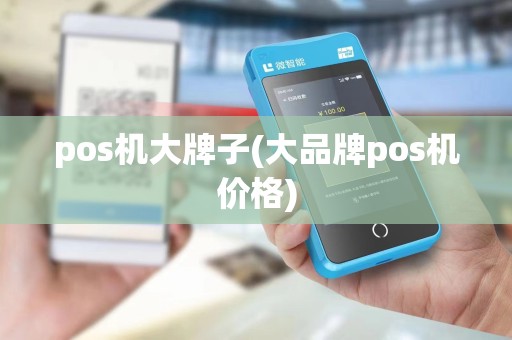pos机大牌子(大品牌pos机价格)