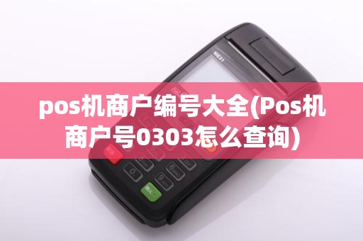pos机商户编号大全(Pos机商户号0303怎么查询)